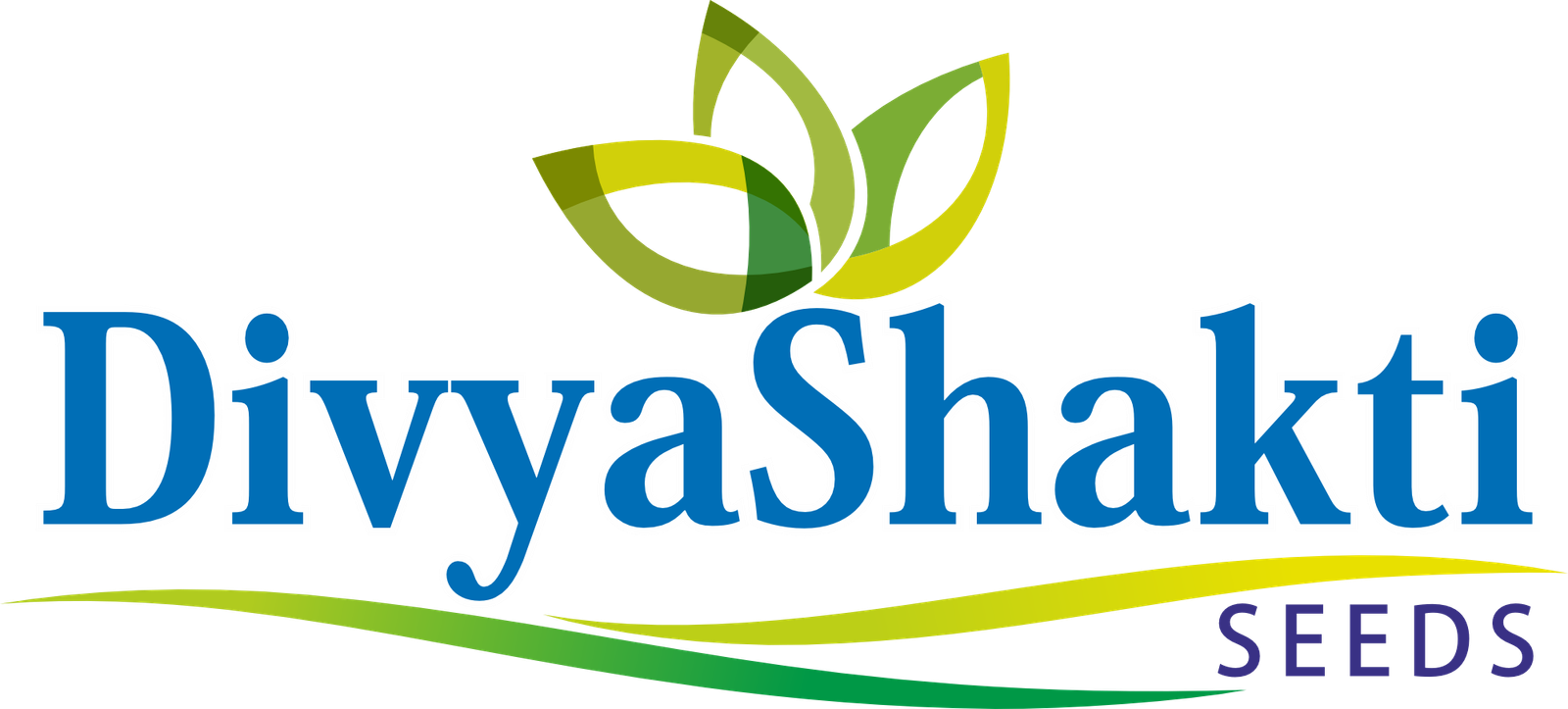 Divyashakti Logo