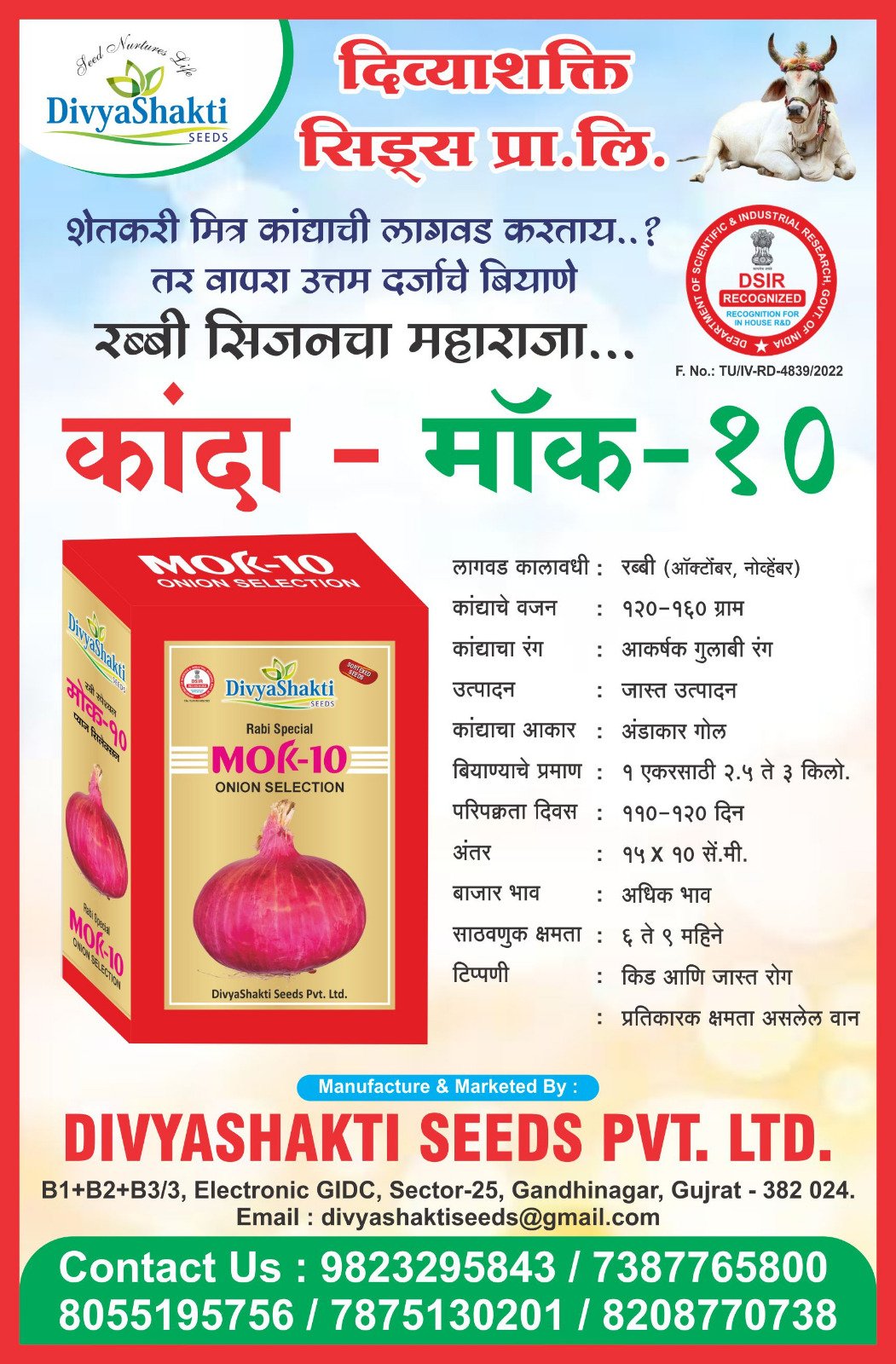 Onion – Mok 10
