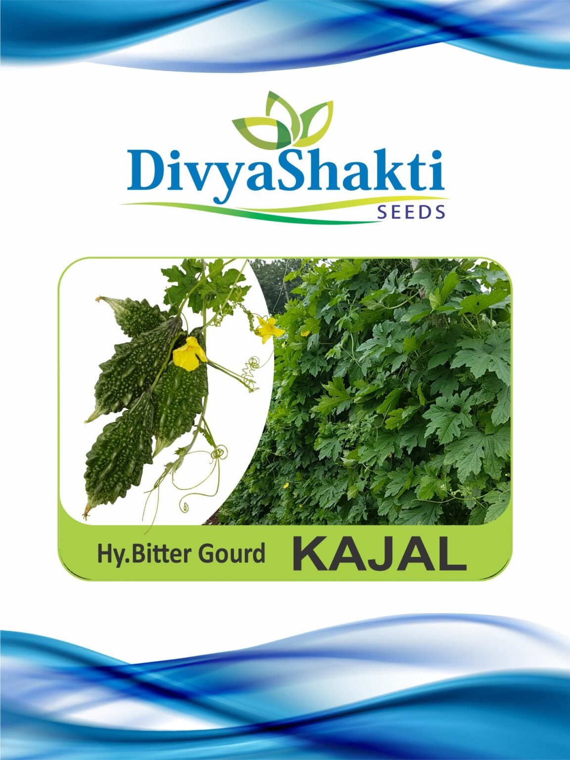 Hy. Bitter Gourd Kajal
