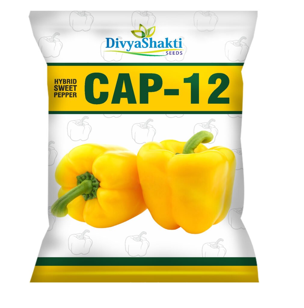 Cap 12