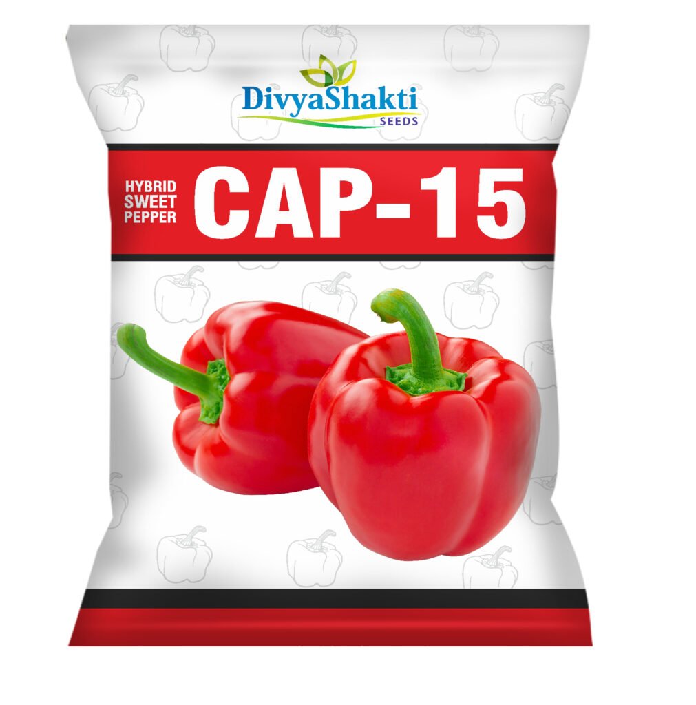 Cap 15