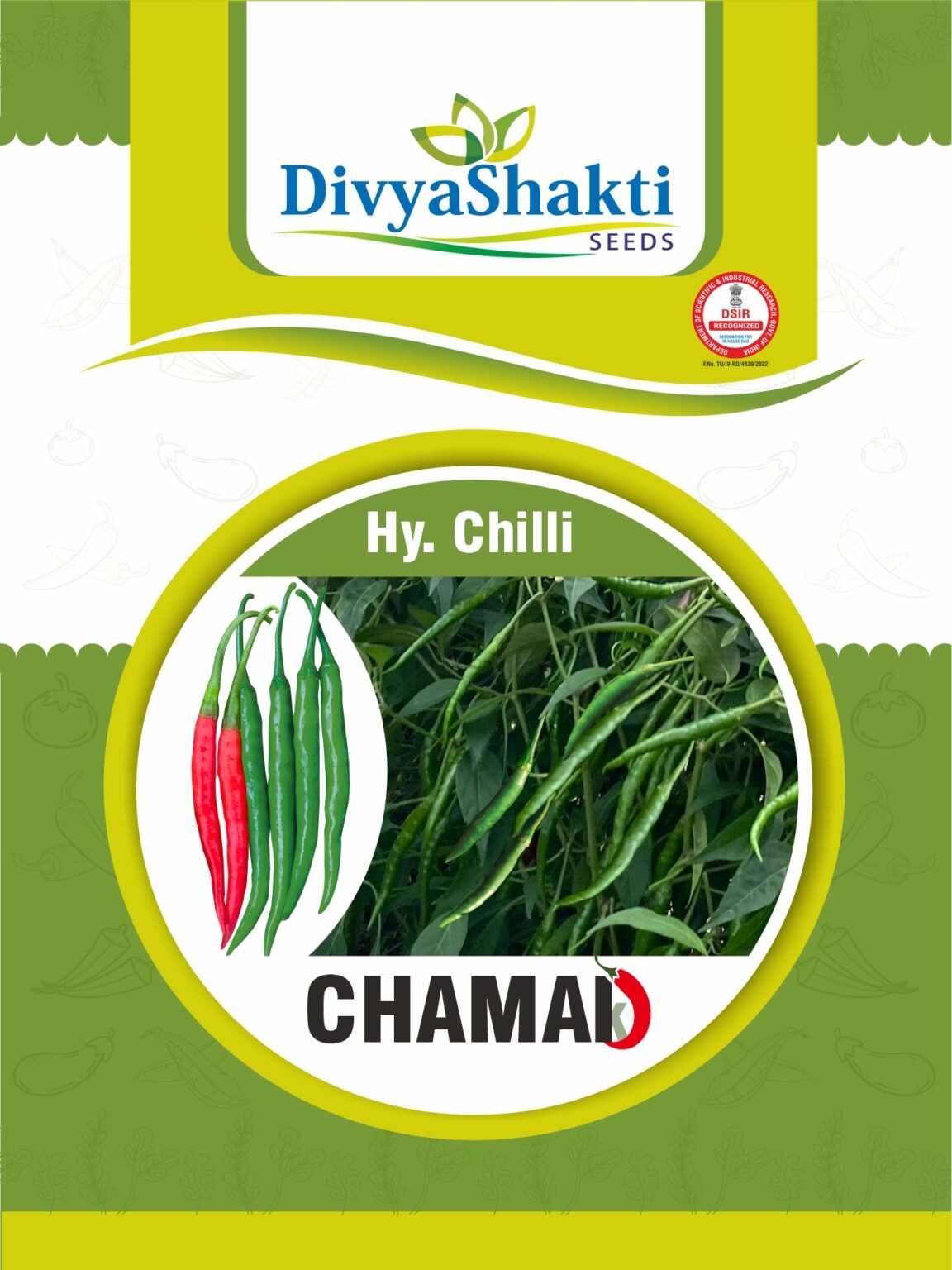 Hy. Chilli Chamak
