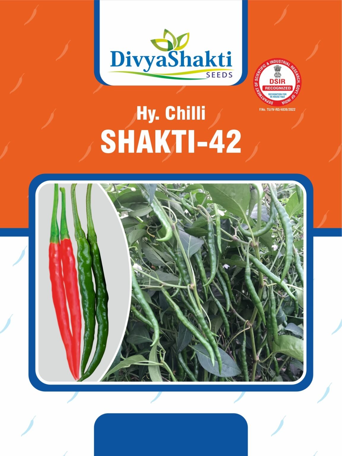 Hy. Chilli Shakti 42