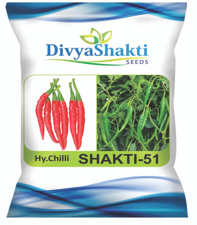 Chilli Shakti -51