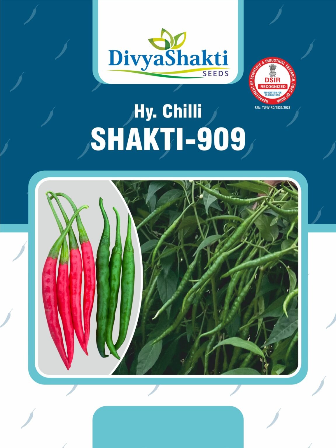 Hy. Chilli Shakti 909