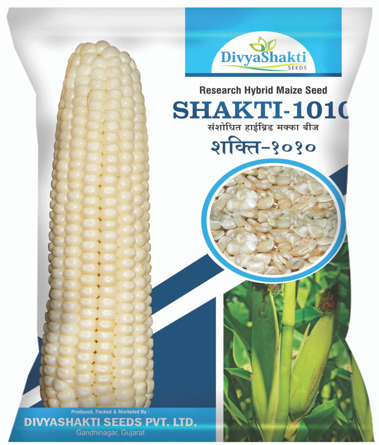 Hy. Maize Shakti 1010