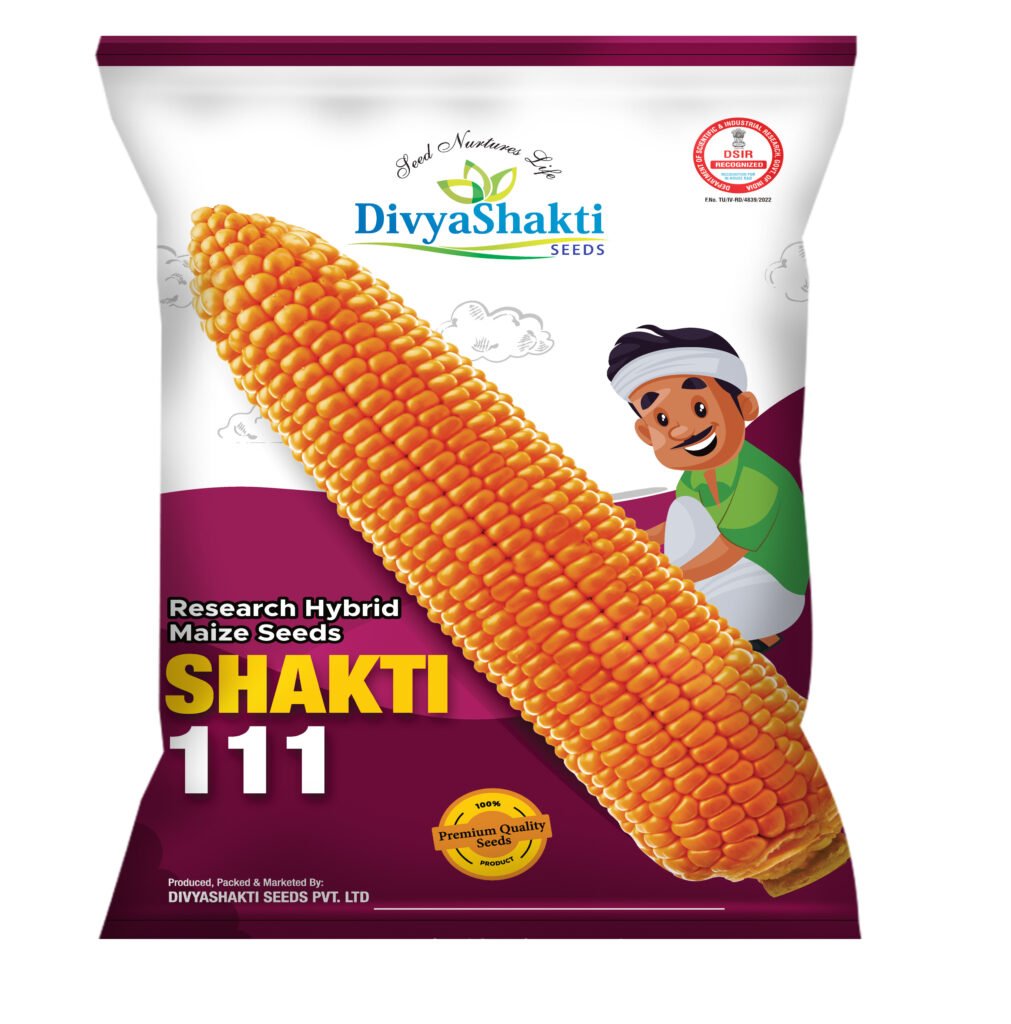 Hy. Maize Shakti 111