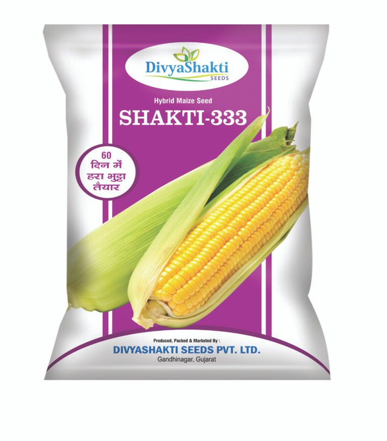 Maize Shakti 333
