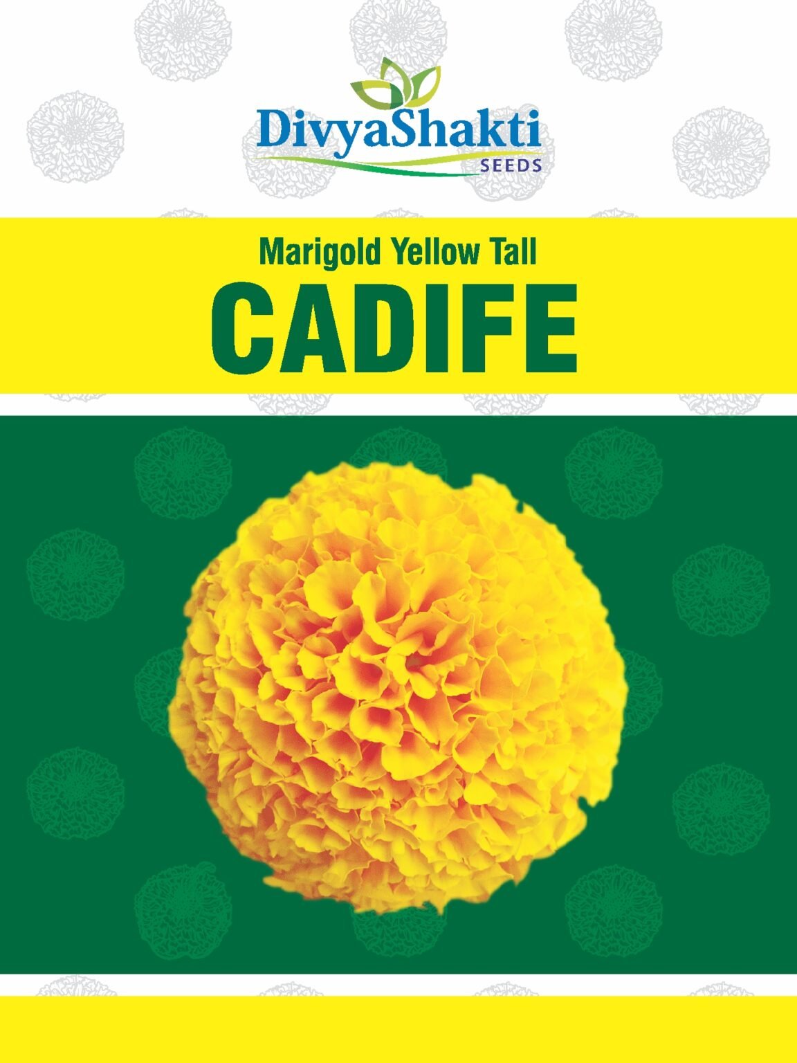 Marigold Cadife