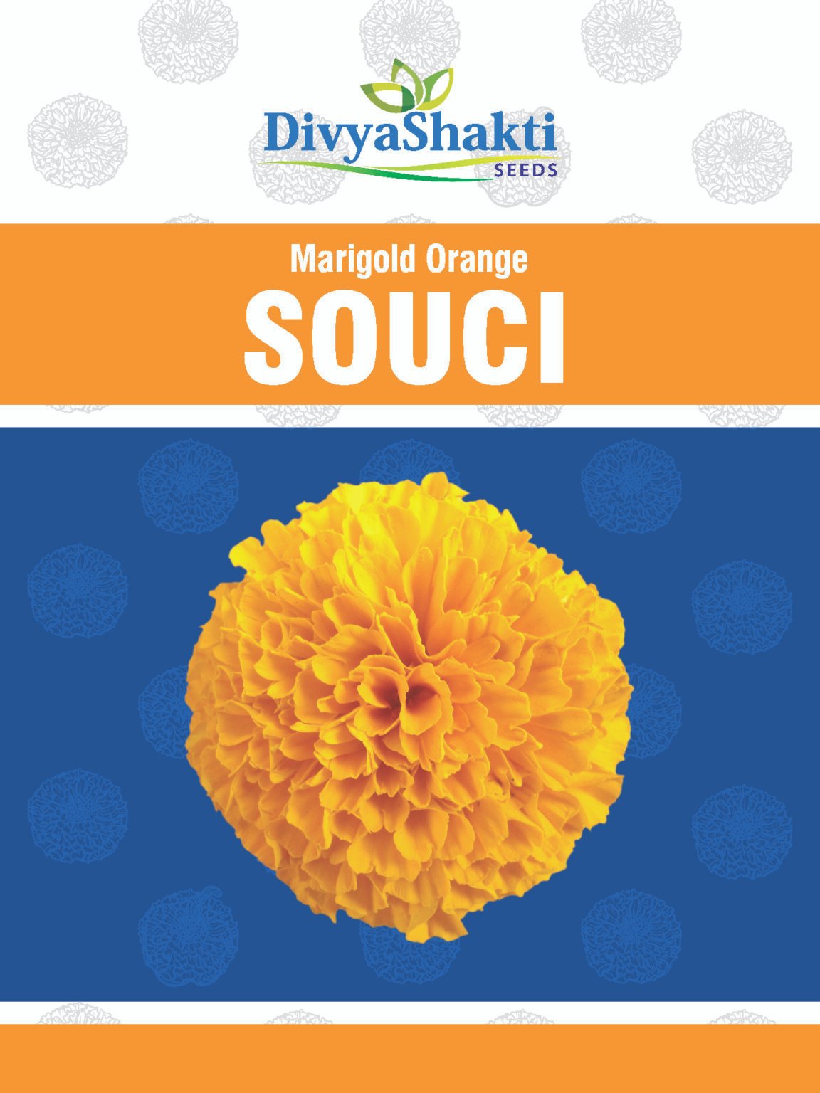 Marigold Souci