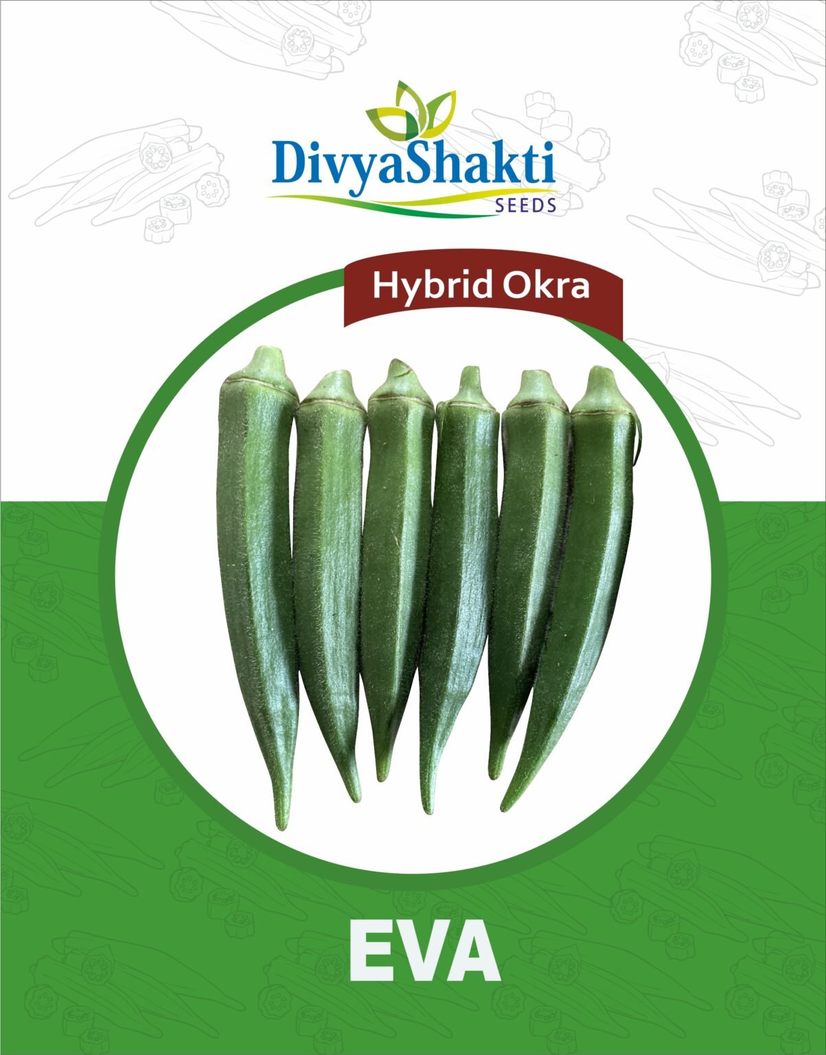 Hy. Okra Eva