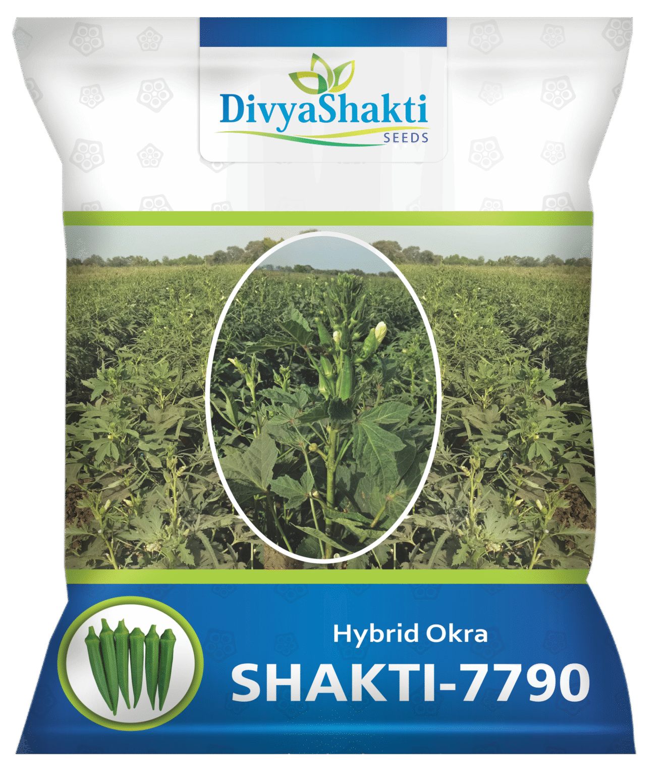 Hy. Shakti 405
