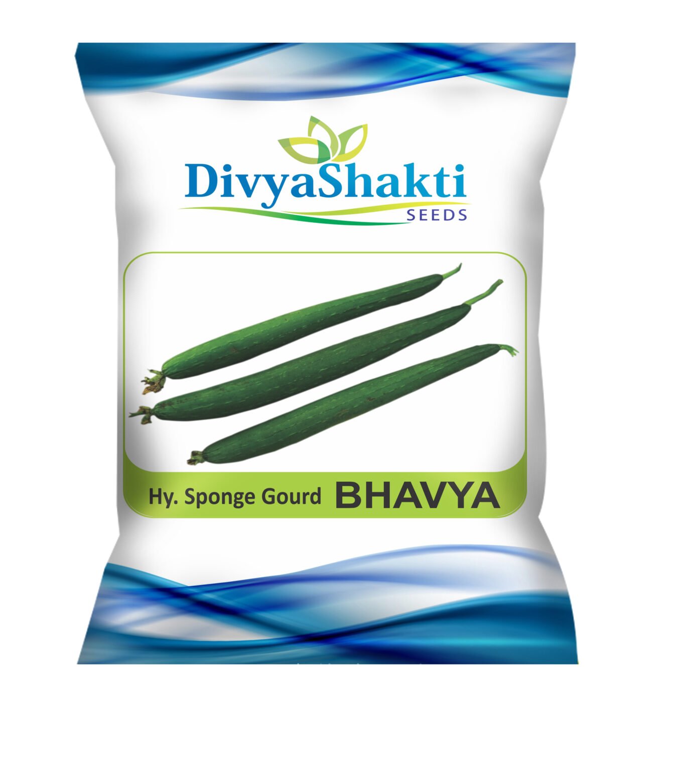 Hy. Sponge Gourd Bhavya