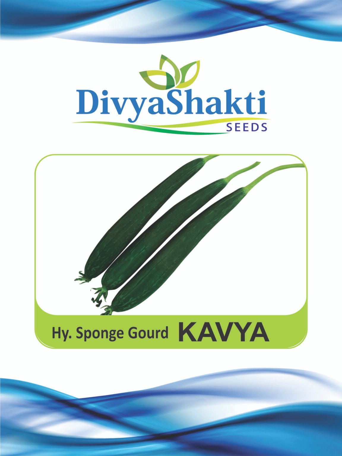 Hy. Sponge Gourd Kavya
