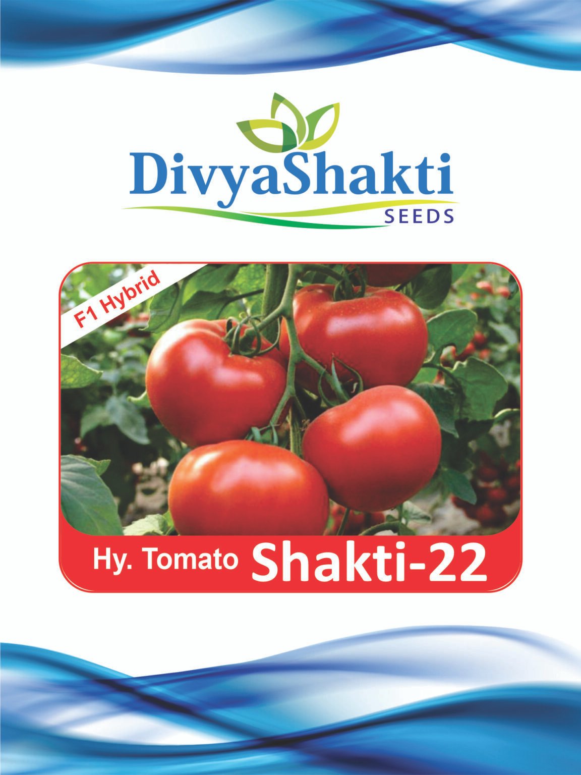 Hy. Tomato Shakti 22