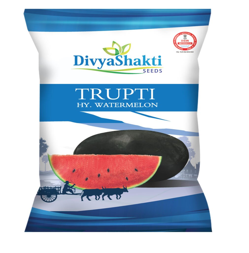 Hy. Watermelon Trupti