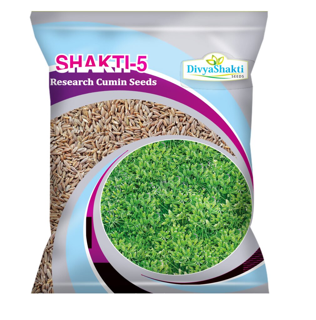Cumin Seeds Shakti 5