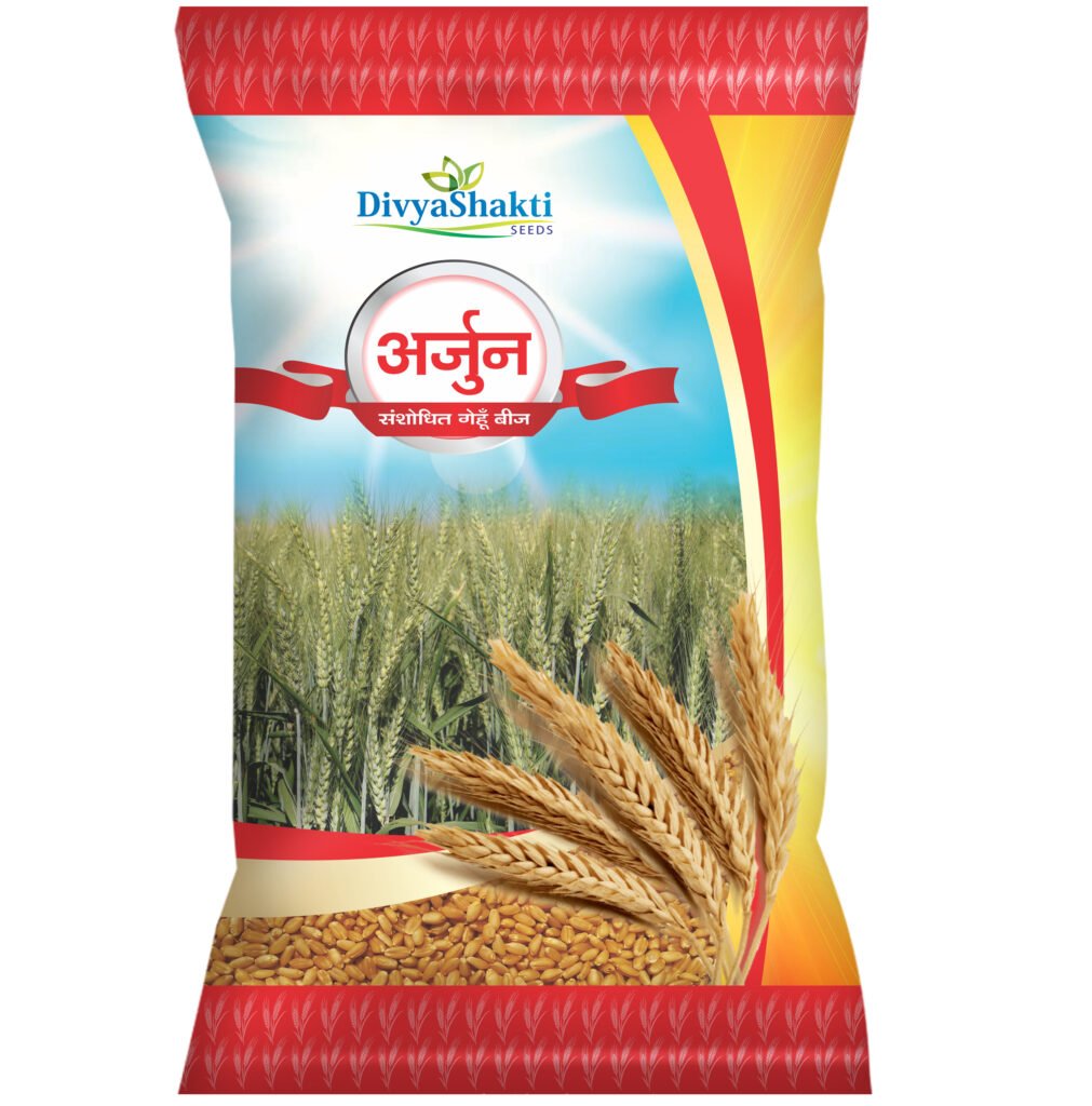 Wheat Seeds Arjun