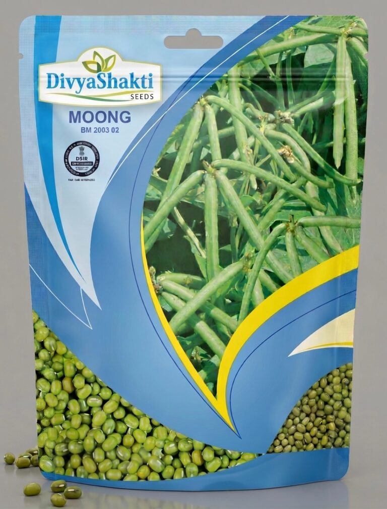 Moong (Green Gram) BM-2003-02